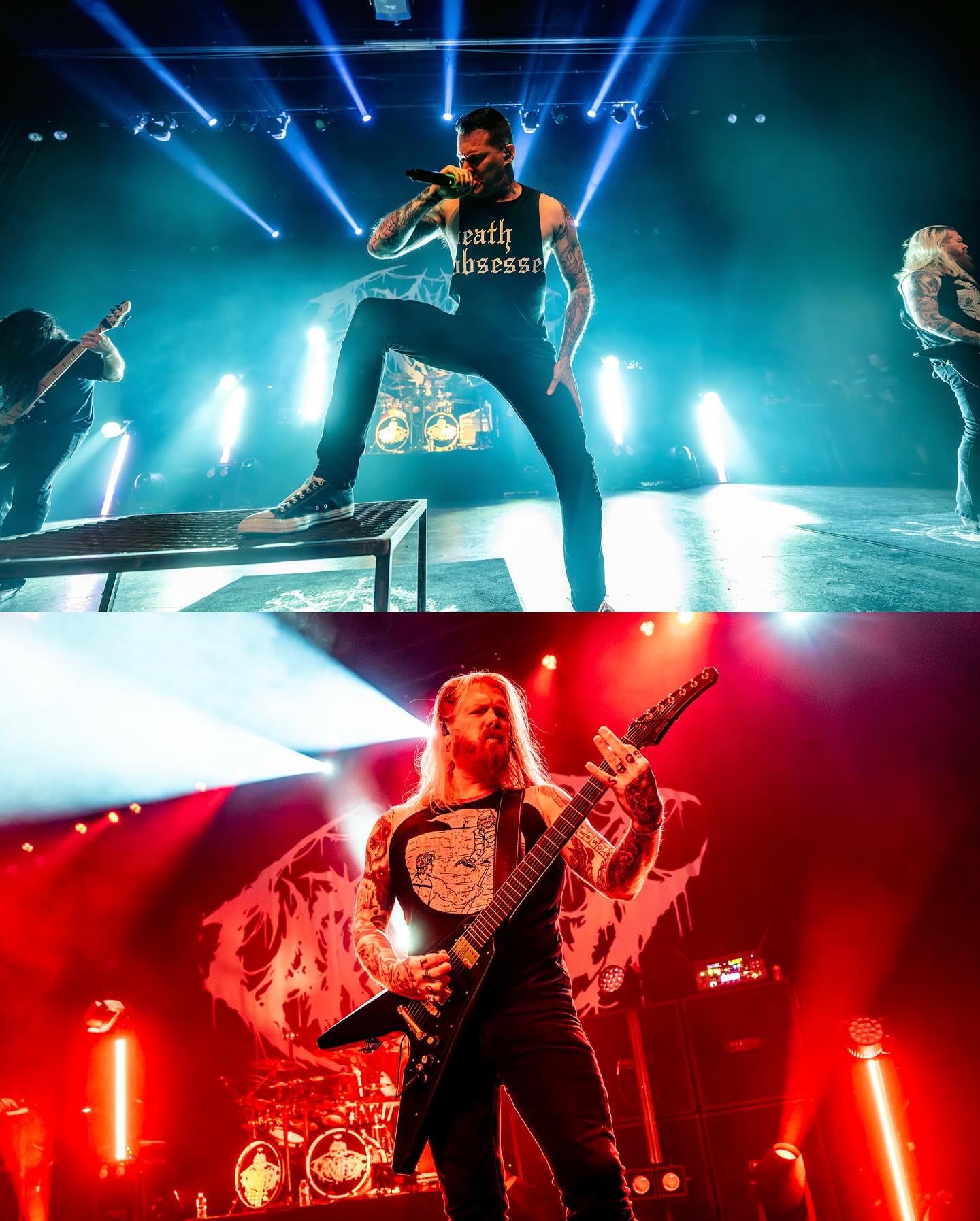 Carnifex