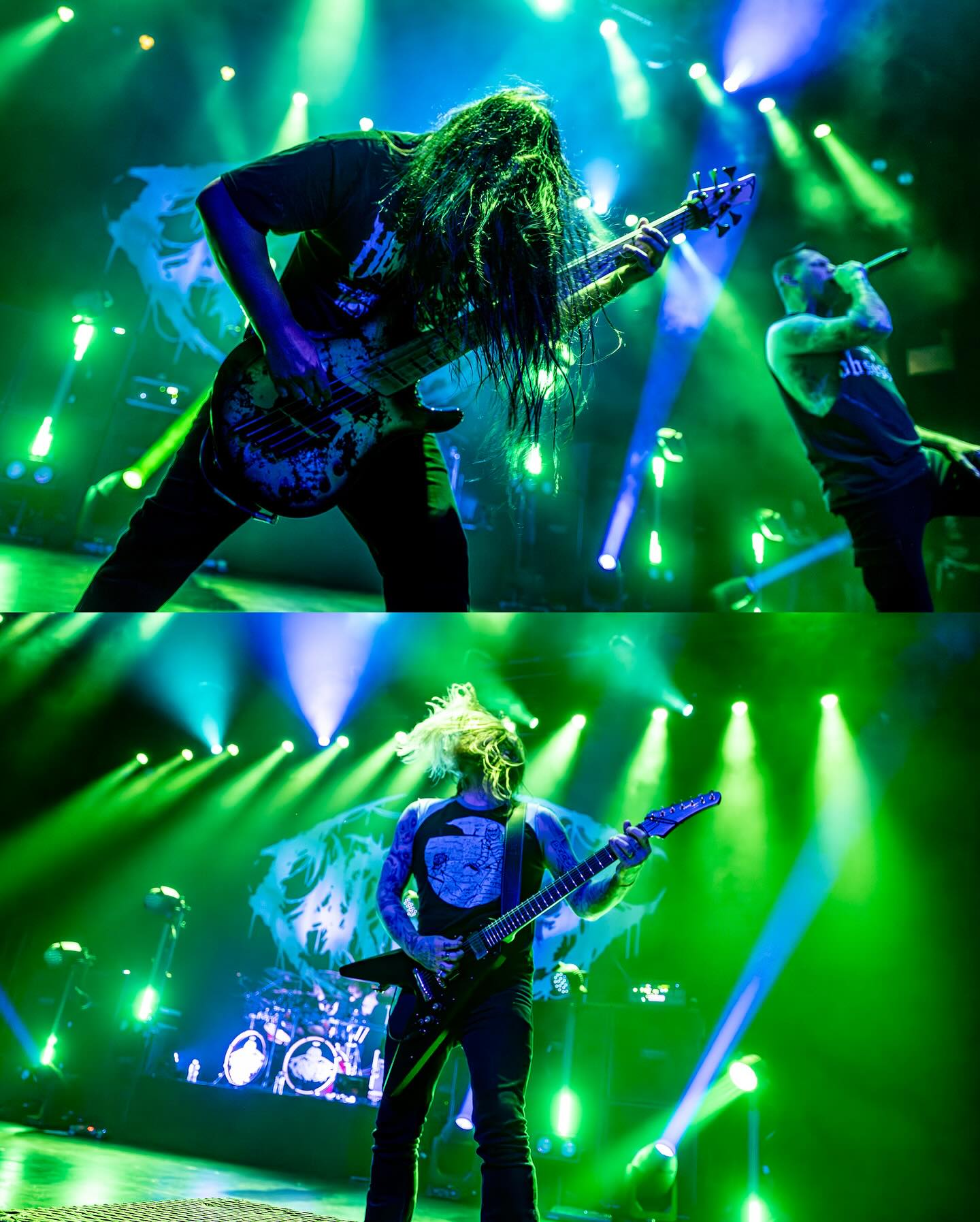 Carnifex